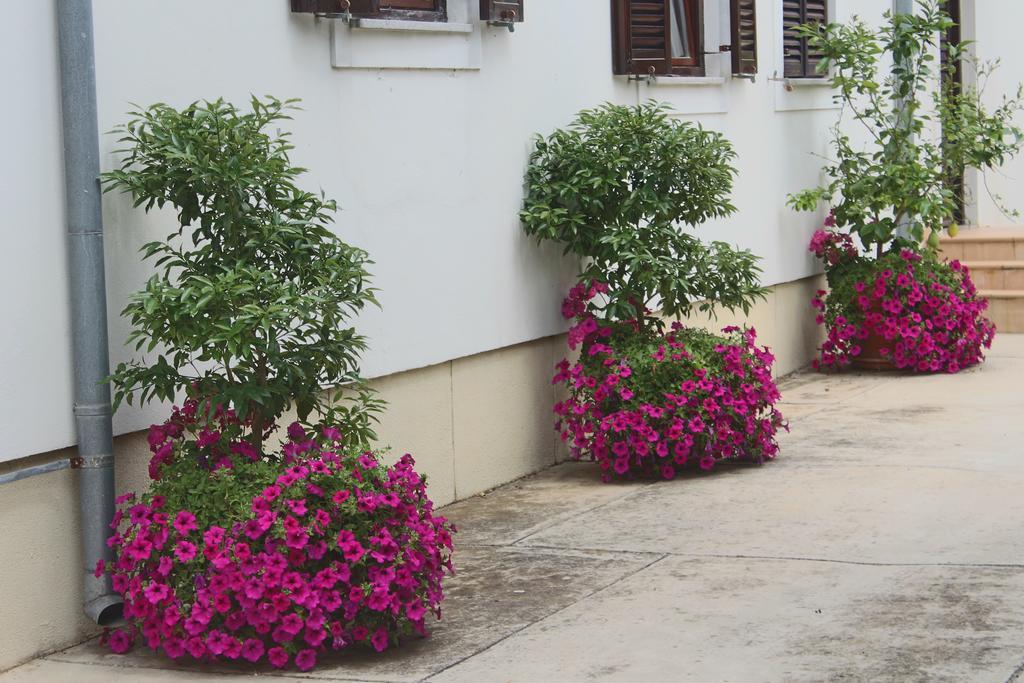 Villa Margareta Sukošan Dış mekan fotoğraf
